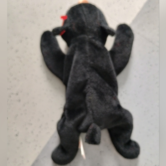 ✓TY Retired Beanie Baby BLACKIE The Black Bear No Hang Tag - Picture 9 of 11